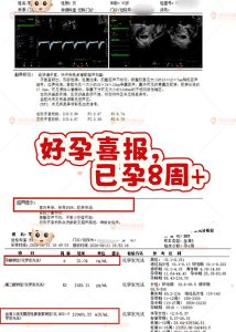 腺肌病合併卵巢功能下降，多次備孕無果，經系統調理後成功懷孕8週+