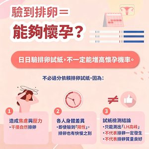 卵泡監測香港幾多錢？備孕女性照卵泡流程、最佳時間及深圳比較